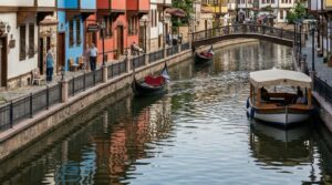 Odunpazarı Koltuk Yıkama